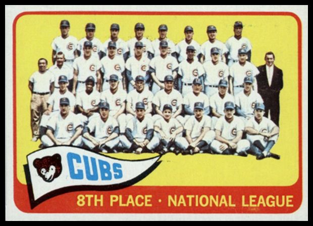 91 Cubs Team